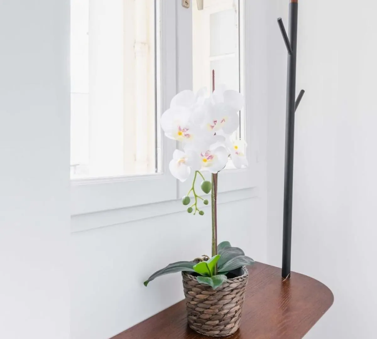 公寓 Studio Fonctionnel Et Confortable - Paris 10 - 2P - Flat-Guest